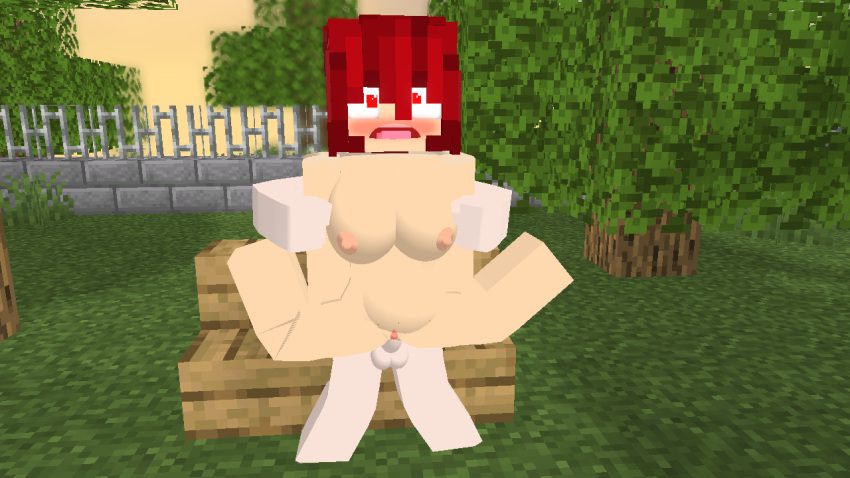 minecraft-hentai-porn-–-pussy,-ls,-female,-vina,-futa-on-female