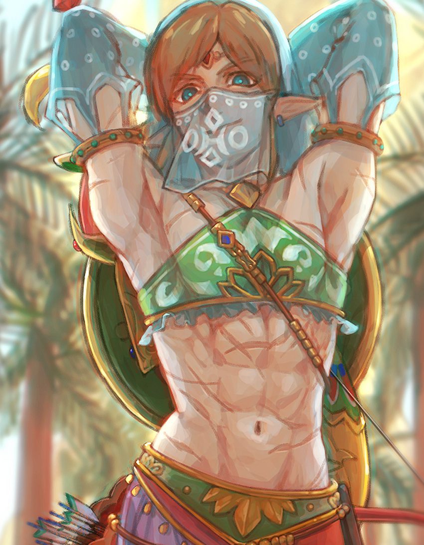 the-legend-of-zelda-hentai-–-gerudo-link