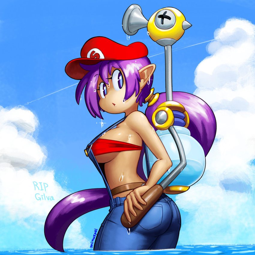 minusrn-–-hat,-fludd,-mario-(series),-jumpsuit,-pants,-bikini-top