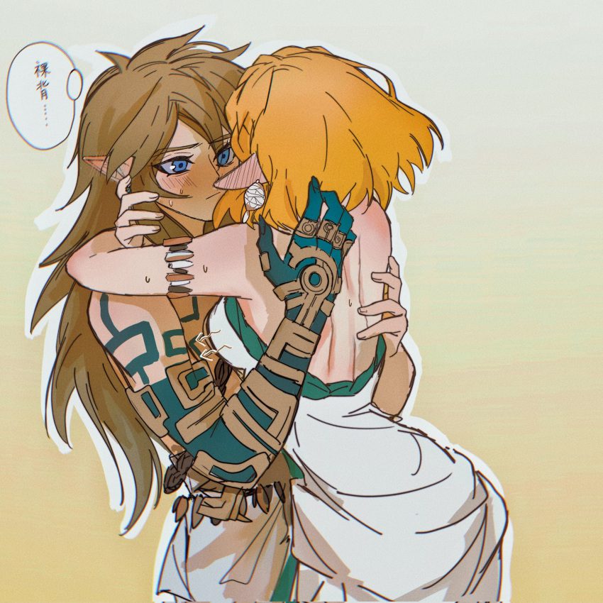 the-legend-of-zelda-hentai-xxx-–-cyanmooon,-princess-zelda,-red-ears,-hug,-blush,-nintendo