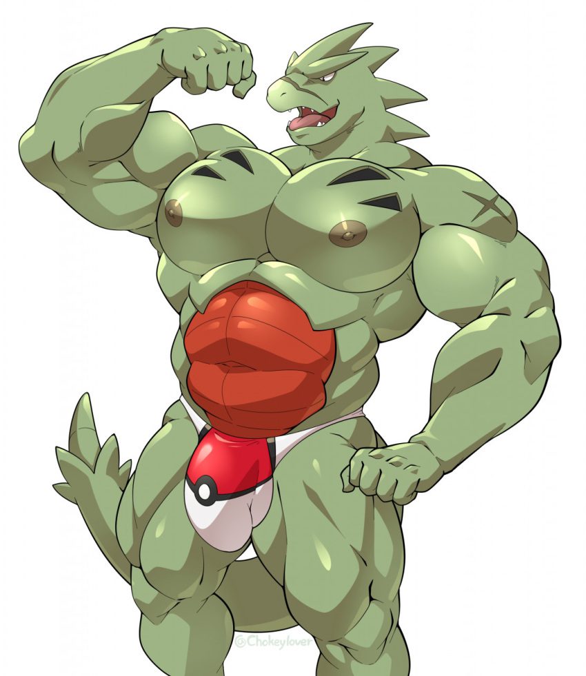 pokemon-hentai-porn-–-muscular,-maldu,-big-muscles,-bulge,-tyranitar