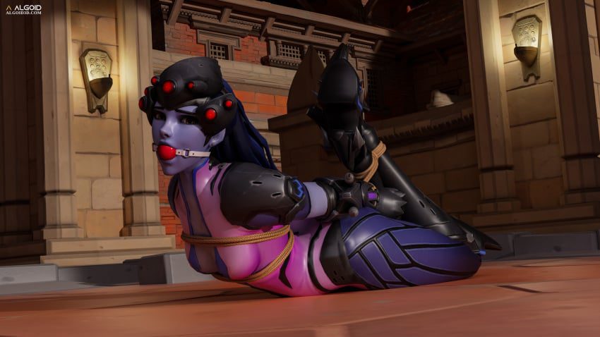 overwatch-hentai-–-hogtie