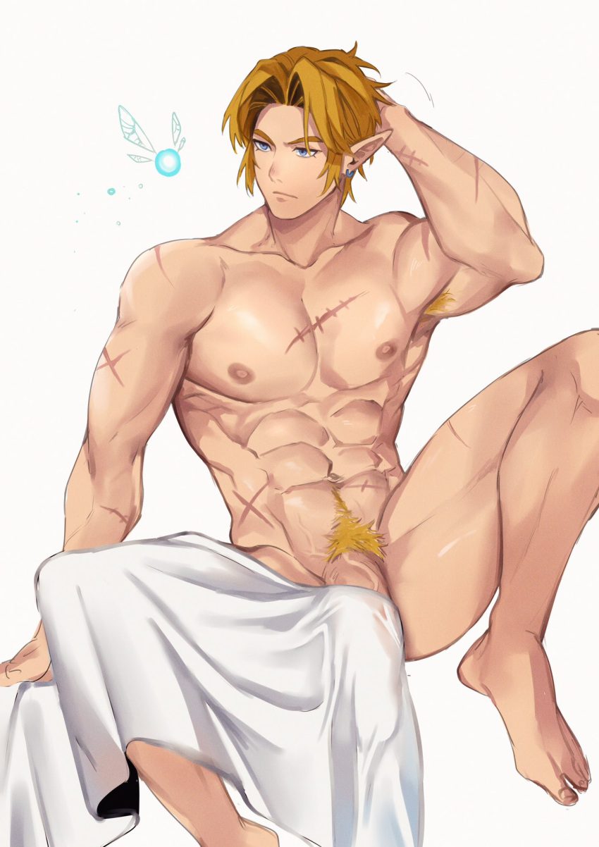 the-legend-of-zelda-free-sex-art-–-link,-male,-scars,-male-only,-scar,-muscular-male