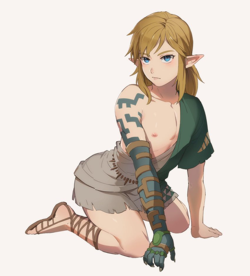 The Legend Of Zelda Hentai - Twink, Foxvulpine, Male Only - Valorant Porn  Gallery