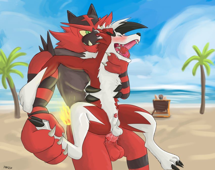 pokemon-rule-porn-–-lycanroc,-pokemon-(species),-generation-kemon,-animal-penis