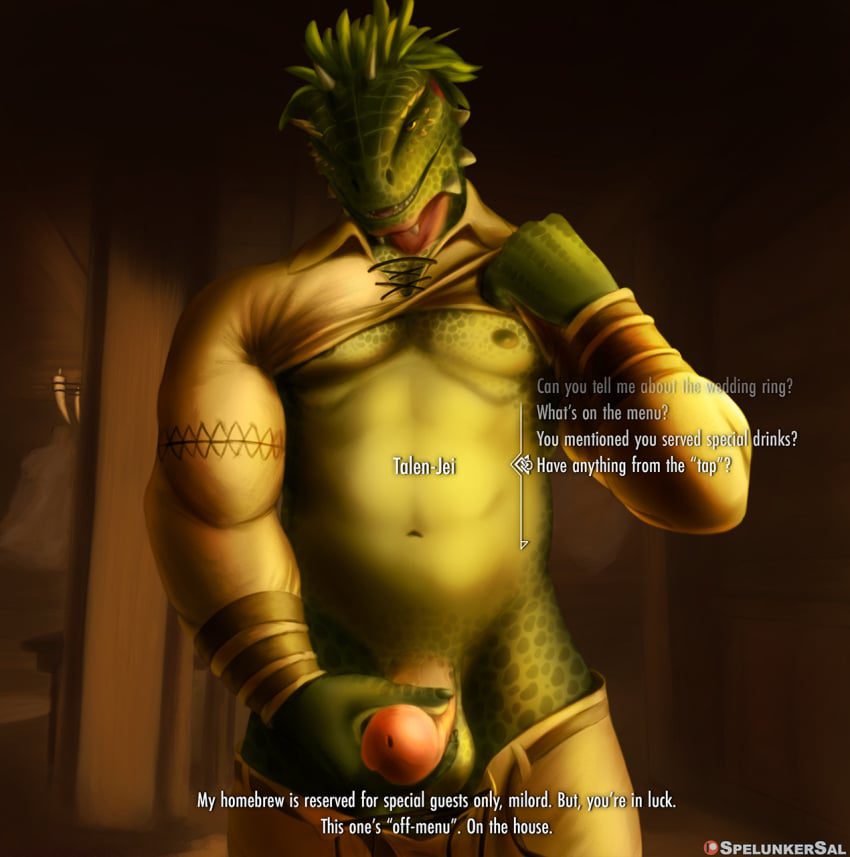 skyrim-free-sex-art-–-nipples,-shirt-lift,-penis,-tan-pants,-feathers,-bottomwear