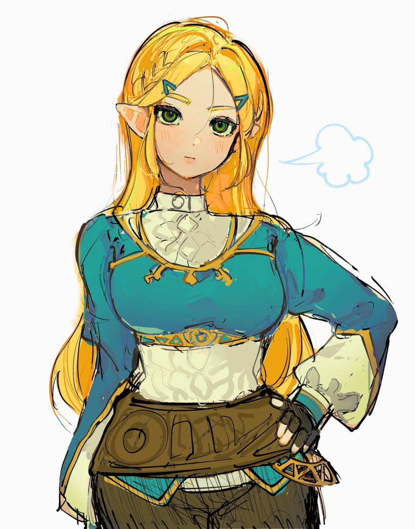 the-legend-of-zelda-rule-–-hand-on-hip,-breath-of-the-wild,-long-hair,-blonde-hair