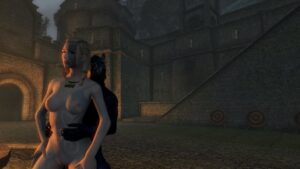 skyrim-free-sex-art-–-modded,-khajiit,-nord,-female,-male/female