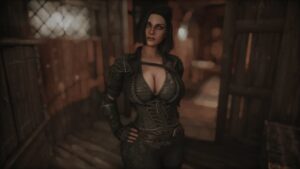 skyrim-xxx-art-–-the-elder-scrolls,-female-focus,-imperial,-breasts,-leather-clothing,-female-only