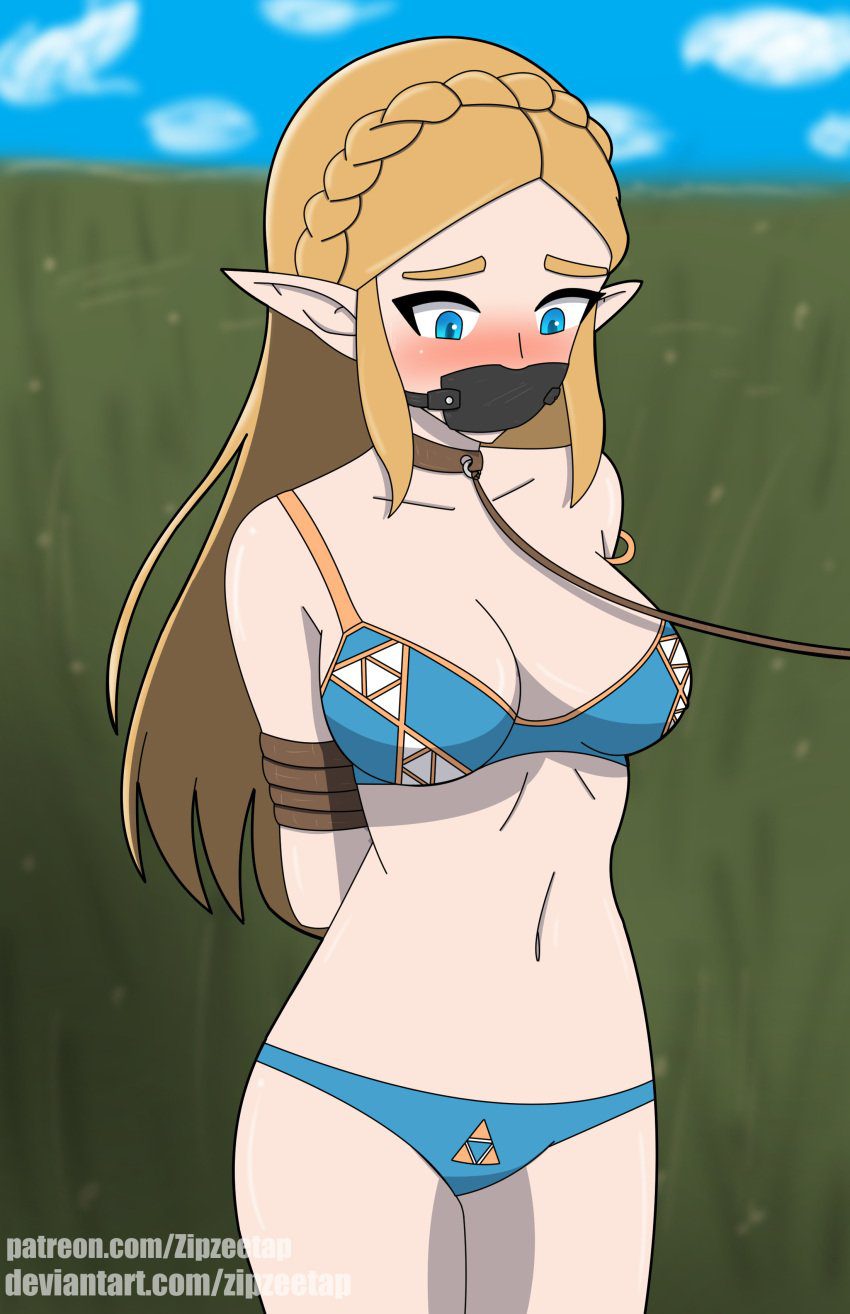 the-legend-of-zelda-xxx-art-–-blush,-cleavage,-bound,-bound-arms,-female